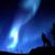 Terry Knapp's profile image