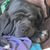 Tammy L Keys's profile image