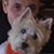 Massimo Guerrini's profile image