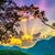 Amy Widmer Wiger's profile image