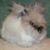 Kim L'Mariea's profile image