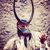 Davide Denti's profile image