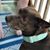 Karley Smock's profile image