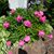 Tammy Adair Gorman's profile image