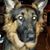 Tracy Lynn's profile image