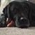 Kristi Lindblad-Bengtson's profile image