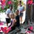 Amy Voechting's profile image
