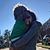 Ashleigh Davis Womack's profile image