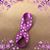 Diann Csizmadia's profile image