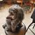 Laura Brooks Carr's profile image