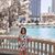Tabby Dearing's profile image