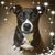 Heidi Gremmel's profile image