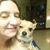 Owlie Aydelotte's profile image
