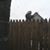 Rhonda Steere's profile image