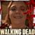 Wendy Cooley's profile image