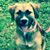 Betty Bushley Peele's profile image