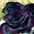 Tasha Meadows's profile image