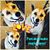 Yvonne Taylor's profile image