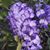 Mary E Gomes's profile image