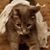 Shannon Gassaway's profile image