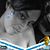 Tatiana Nicole Berti Shapiro's profile image