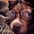 Humberto Gomez's profile image