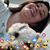 Renata Lucas's profile image