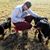 Tim Stranimier's profile image