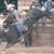 Lic PaCas's profile image