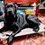 Gary Galmin's profile image