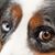 Art Meripol's profile image