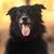 Anne Killeen's profile image