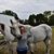 Erika M McPeck's profile image