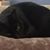 Al Van Handel Jr.'s profile image