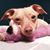 Valerie Calvert's profile image