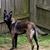 Judy Sahr-Wilson's profile image