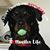 Mechelle Gagliano- Clark's profile image