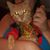 Ana Paula's profile image