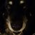 Joe Polimeni's profile image
