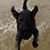 Wesley Bryant's profile image