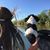 Deanna Davis Matthews's profile image