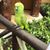 Maggie Kwan's profile image