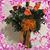 Lisa Robilotto's profile image
