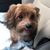 Theresa D. Smith's profile image