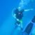 Michael Edward Duquette's profile image