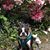 Karen Nielson's profile image