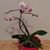 Jennifer Lamper's profile image