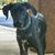 Kelly Layton's profile image