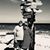 Carolyn Steeves's profile image