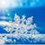 Leigh Cantey Coker's profile image